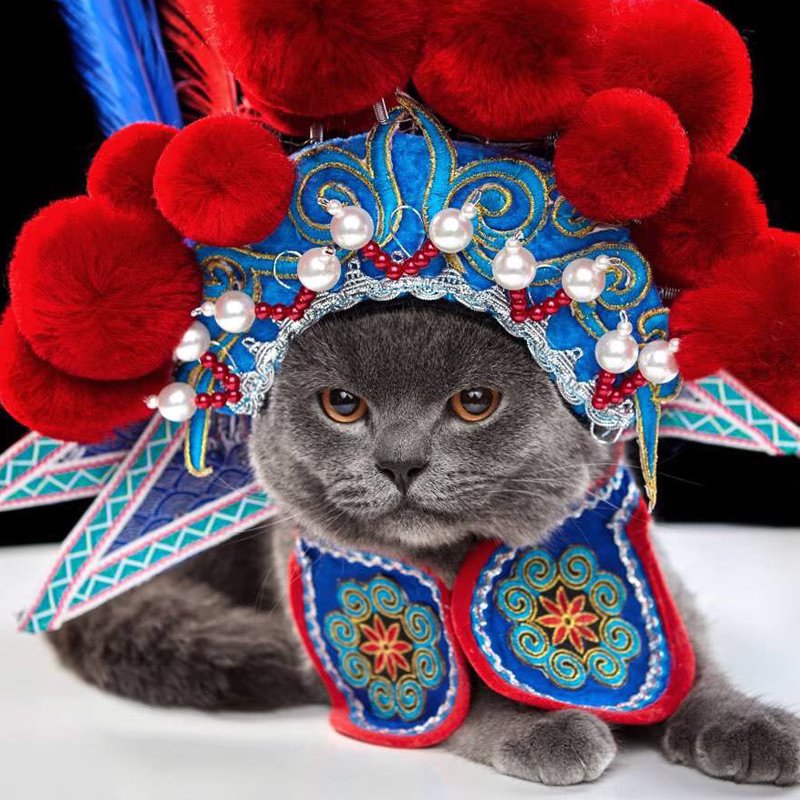 Farewell My Concubine | Peking Opera Funny Pet Costume  (霸王别姬)