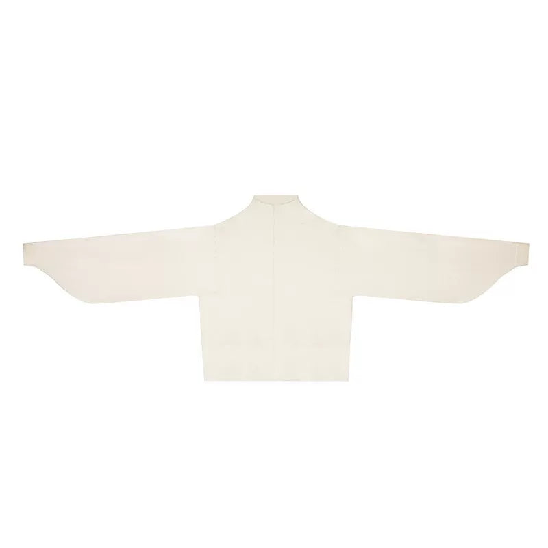 Fortune Spring | Modern 2-Piece Hanfu (聚宝盈春)