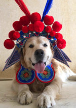 Farewell My Concubine | Peking Opera Funny Pet Costume  (霸王别姬)