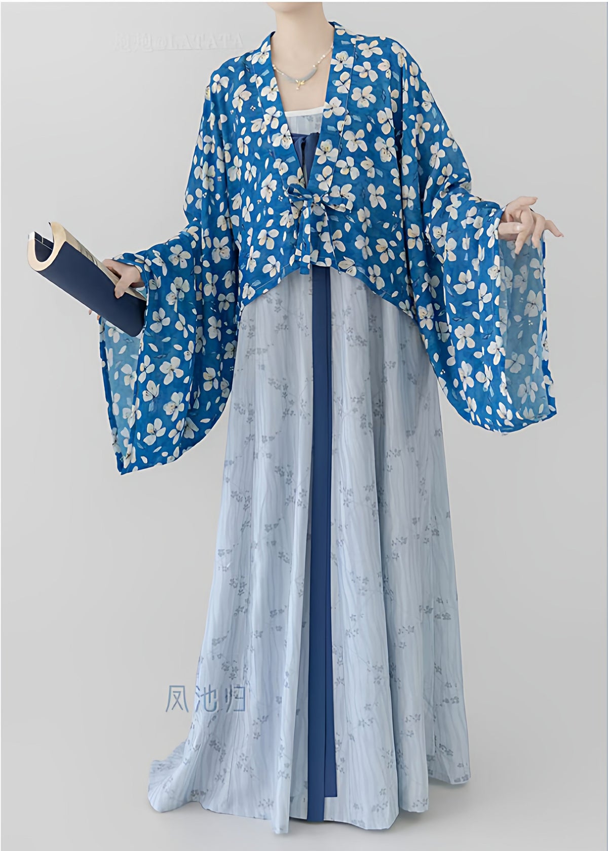 Pear Snow | 2-Piece Plus Hanfu (梨雪)