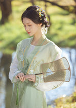 Bamboo Forest | Tang Hanfu (竹林间)