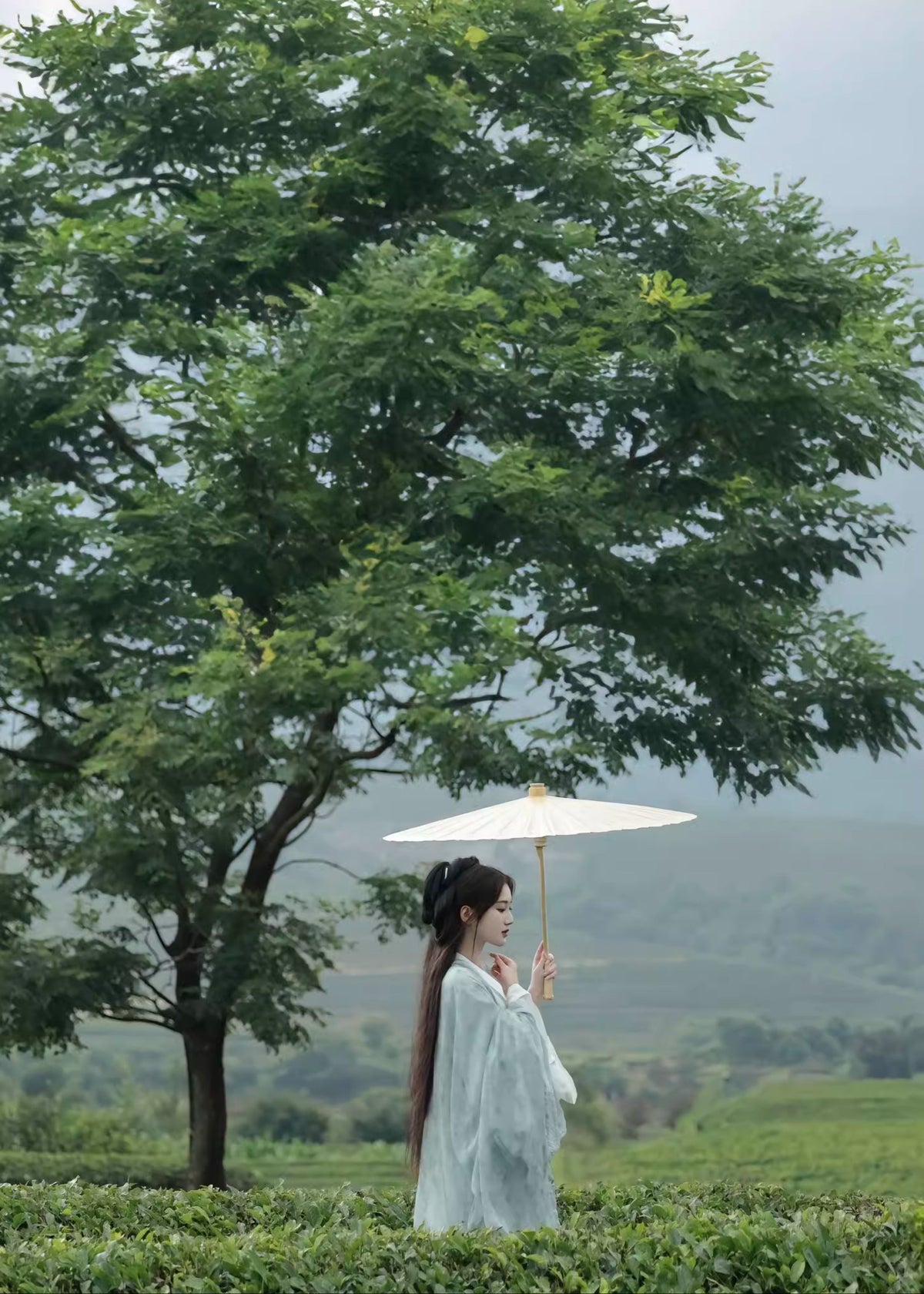 Missing Heart | 3-Piece Hanfu (戚戚忧思深)