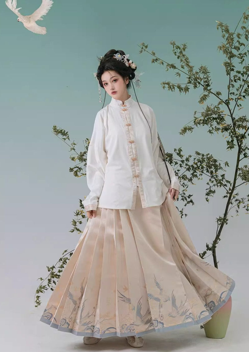 Lady Bird | Modern Ma Mian Skirt (灵雀纪事) – NewMoonDance