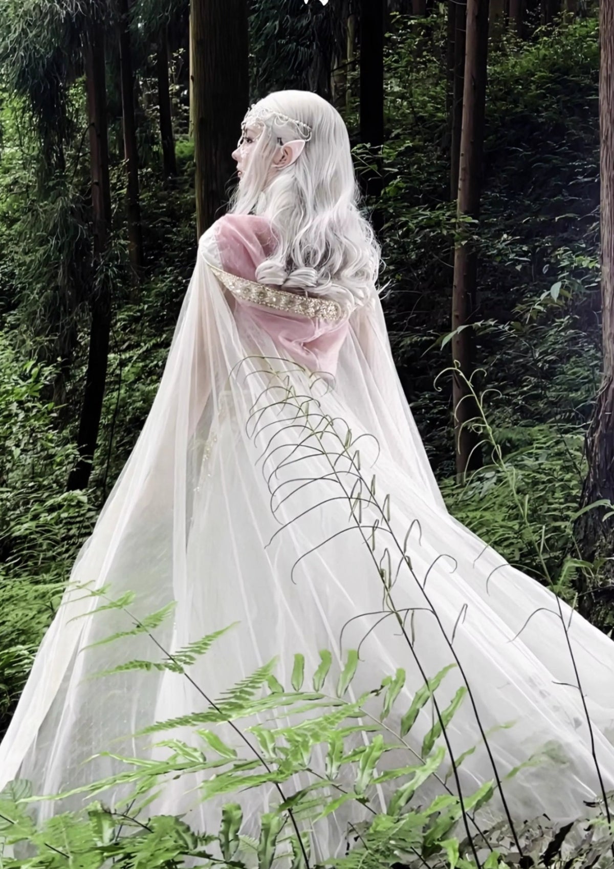 Moonlight Elf | Dunhuang Embroidered Gown (蝶骨)