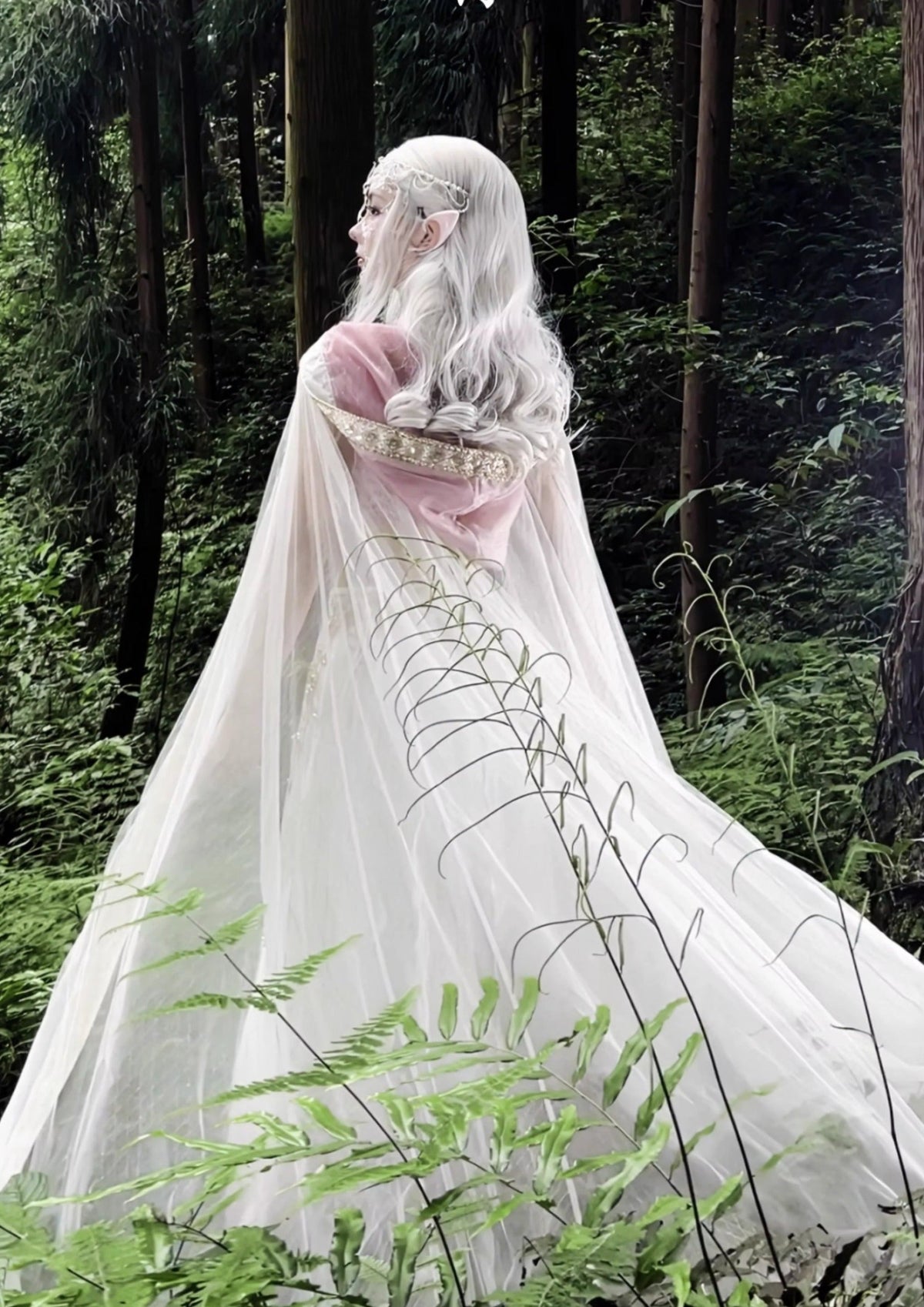 Elfo de la luz de la luna | Vestido bordado de Dunhuang (蝶骨)