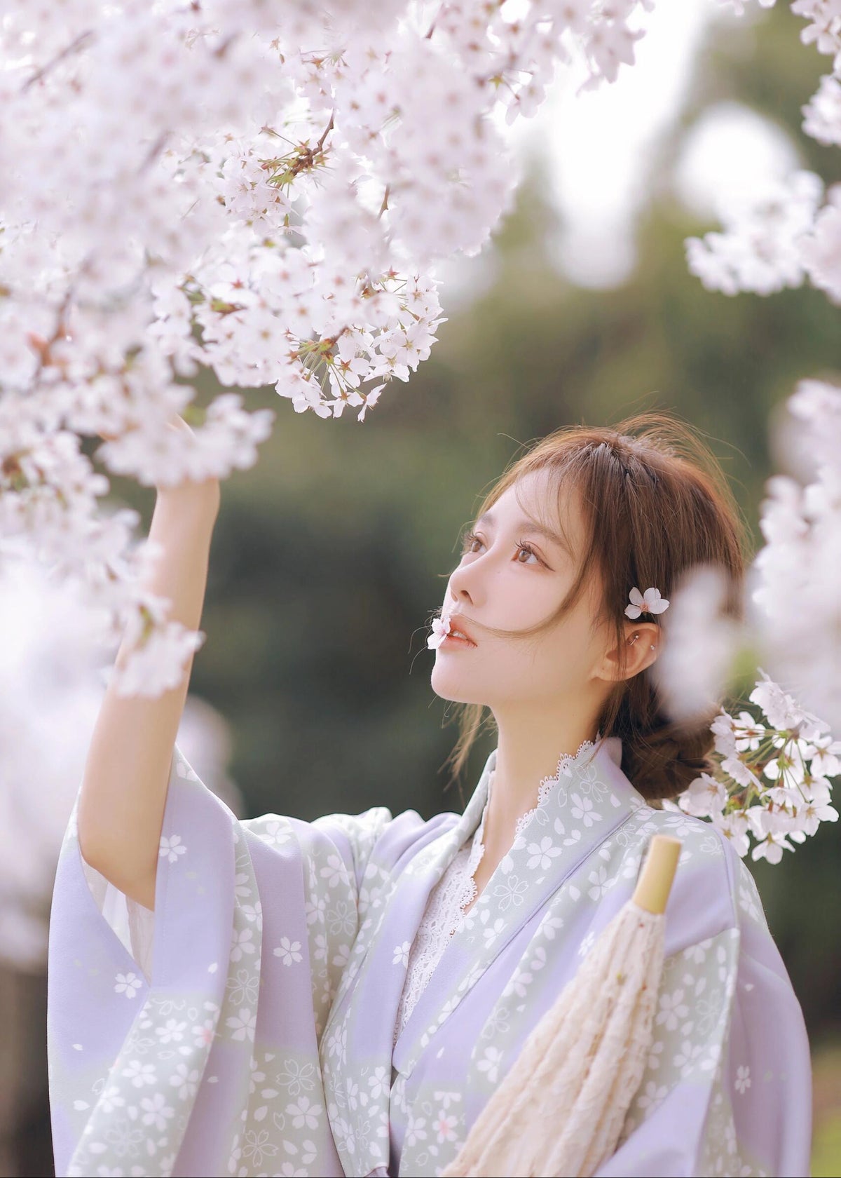 Violet Sakura | 2-Piece Asian Kimono (紫樱)