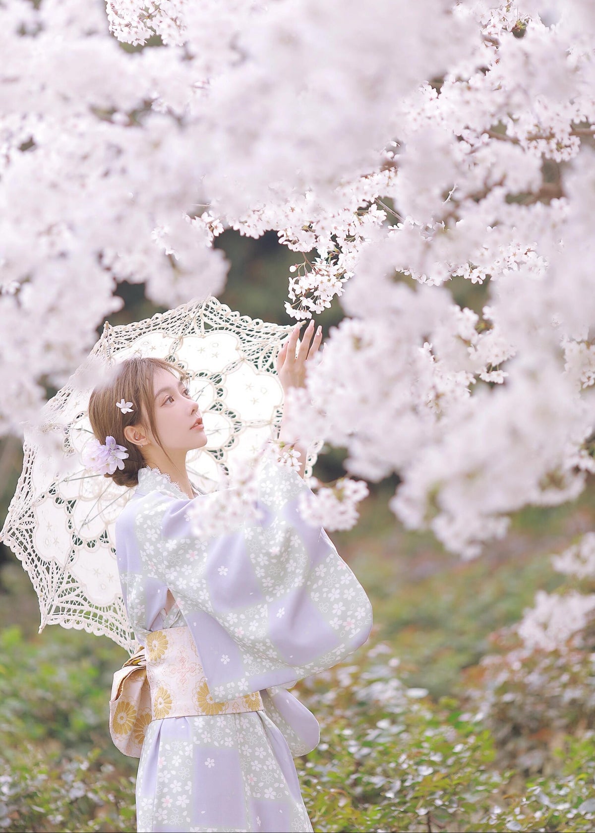 Violet Sakura | 2-Piece Asian Kimono (紫樱)