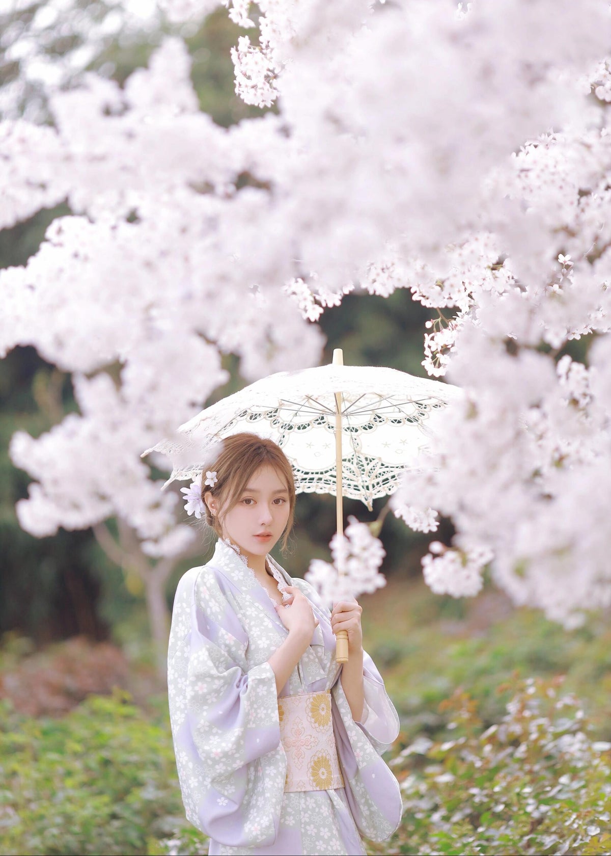 Violet Sakura | 2-Piece Asian Kimono (紫樱)