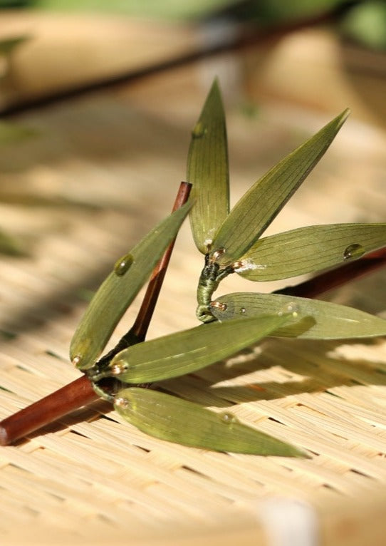 Bamboo | 1 Pc Green Hairpin (竹叶)