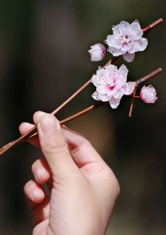 Beauty Plum | 1 Pcs Pink/Purple Hairpin (美人梅)