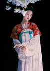 Tang Princess | Red Hanfu Dress (大唐公主)
