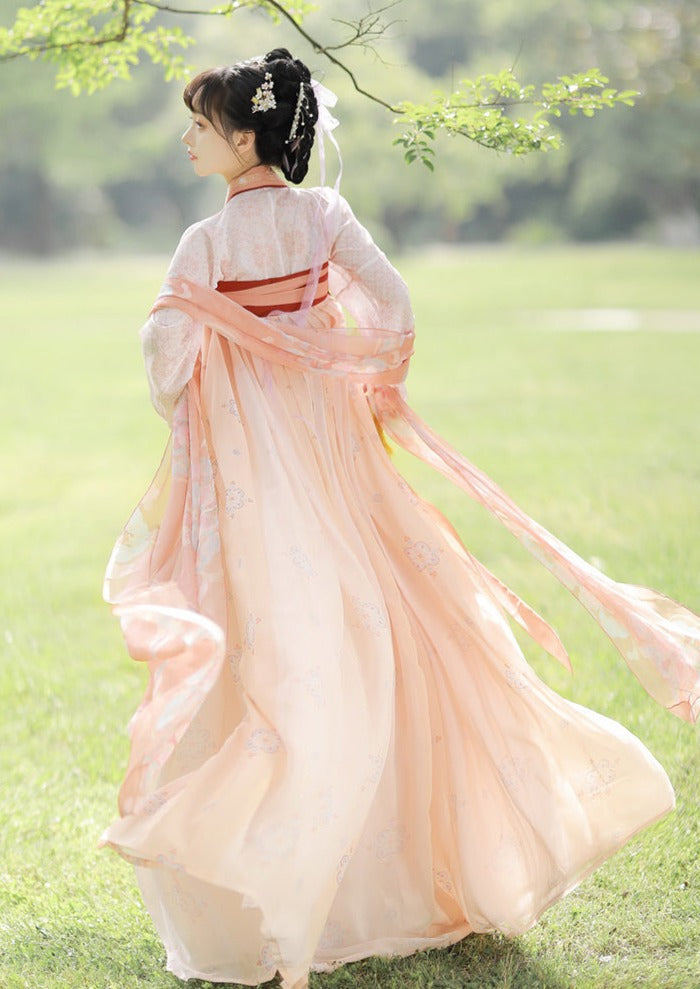 Spring Tail | Tang Pink / Blue Hanfu (春瑶)