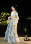 Bamboo | Embroidered Blue Dress (若竹)