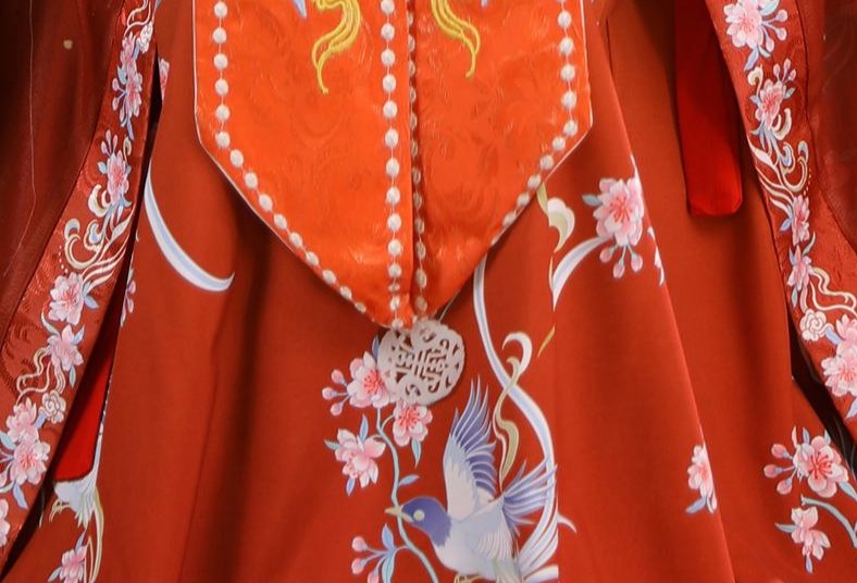 Peaceful Joy | Song Hanfu Dress (清平乐)
