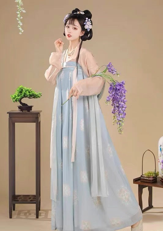 Changan Flowers | Tang Plus Hanfu (长安花)